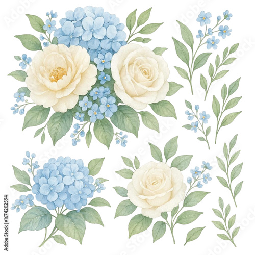 Watercolor Hydrangea myosotis rose peony blue white flowers