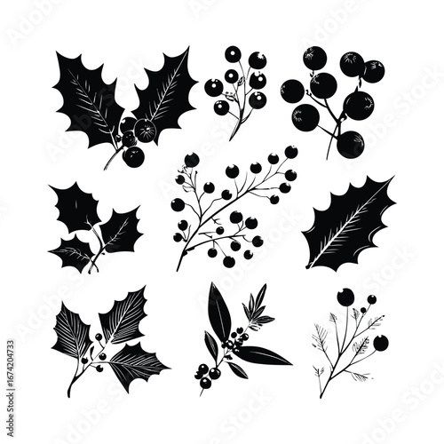 Collection of black and white botanical illustrations with leaves and berries arranged artistically