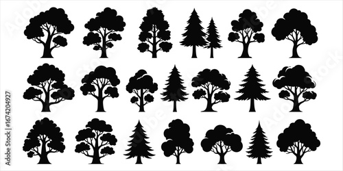 Assortment of Black Tree Silhouettes Featuring Deciduous and Evergreen Varieties nature forest
