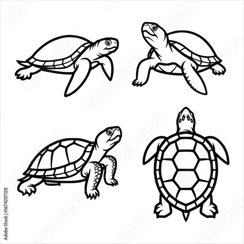 Four turtles in different poses isolated on white background, showcasing their shells and flippers in a simple yet elegant black and white design