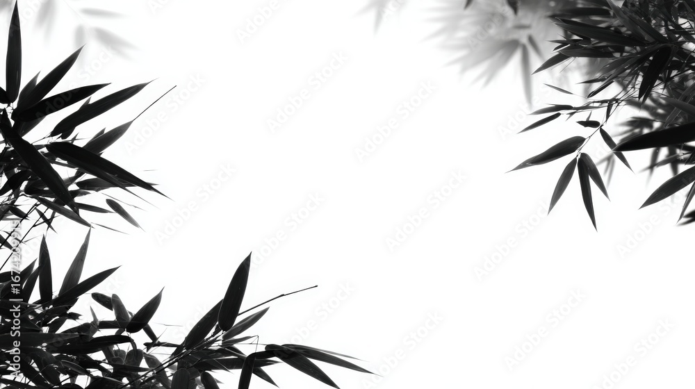 Naklejka premium Elegant black and white bamboo leaves frame a blank white space, creating a minimalist design.