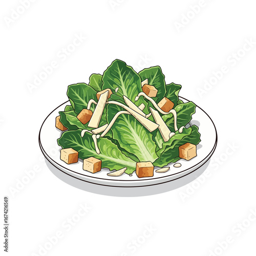 Illustration of a Caesar salad with croutons and shaved parmesan cheese on a white plate lettuce romaine lettuce