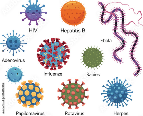 Colorful virus icons, HIV, Hepatitis B, Ebola, Adenovirus, Influenza, Rabies, Papillomavirus, Rotavirus, Herpes, cartoon style, medical vector