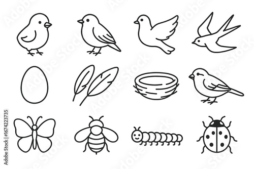 Collection of bird and insect line art illustrations including nest and egg
