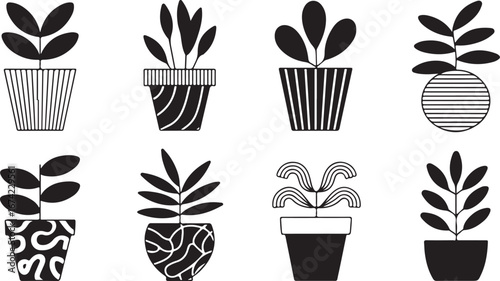 Potted plants with decorative pots houseplants botanical illustrations