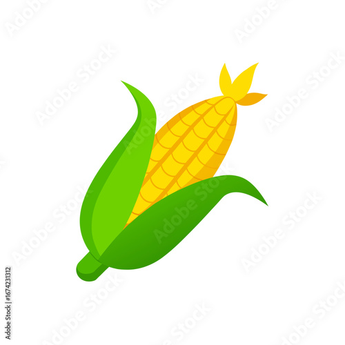 Illustration of a ripe ear of yellow corn on transparent background