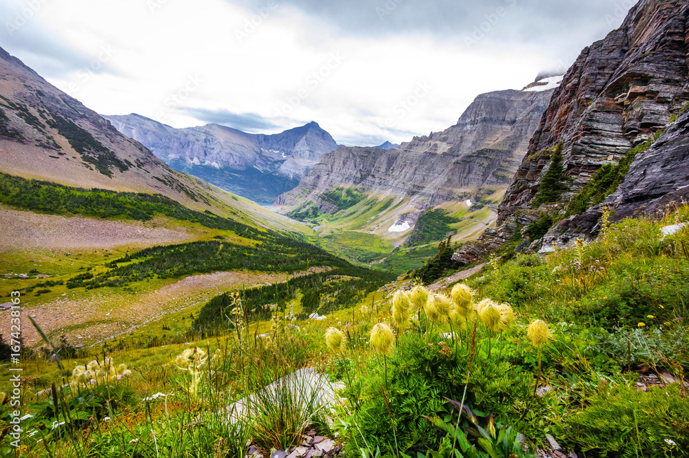 Fototapeta premium Panoramic view of Glacier National Park from Siyeh Pass Trail