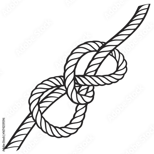 A detailed illustration of a securely tied figure eight knot on a white background