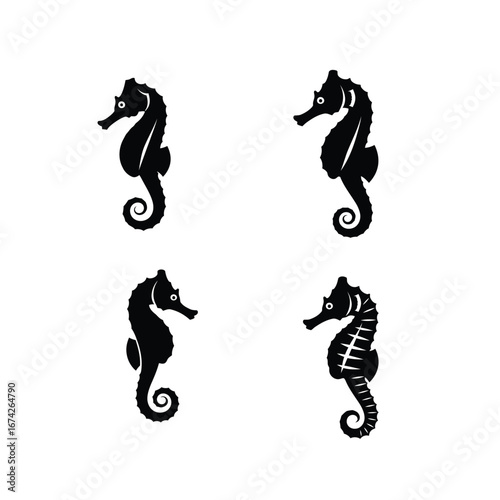 Elegant Seahorse Silhouette Set Vector Illustrations for Design