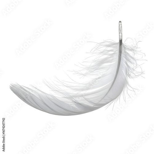 White Feather Floating on Black Background,  Transparent PNG Image, Ideal for Design Projects