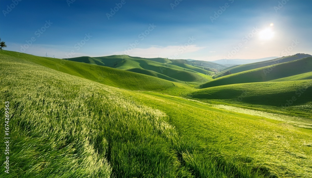 Obraz premium rolling green hills serene landscape of gently rolling green hills covered in lush vibrant grass under a bright clear sky the soft curves of the hills create a sense of calm and natural beauty