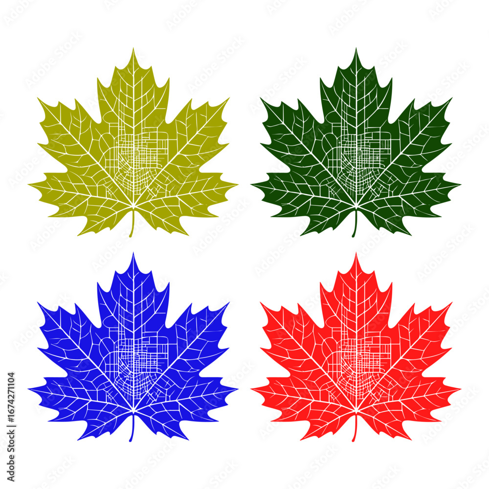 Fototapeta premium Colorful Maple Leaves Canada Nature Seasonal Design