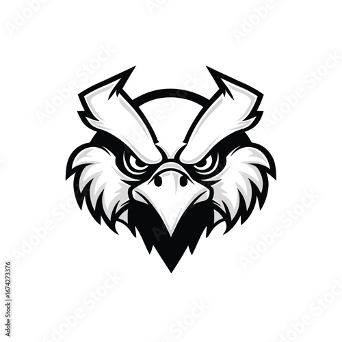 Fotografie Monochrome vector illustration of a powerful eagle head with a fierce expression