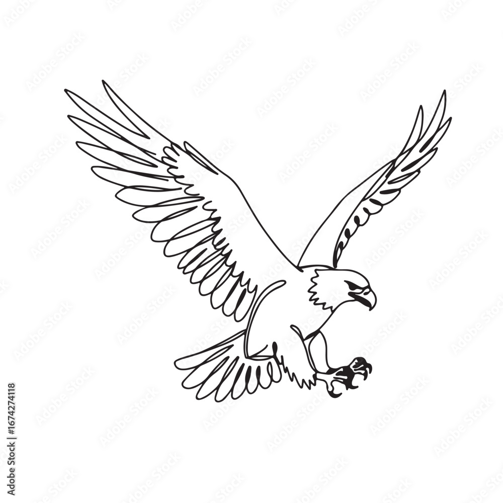 Fototapeta premium Minimalist Line Art of an Eagle with Wings Spread Wide in Flight bird hawk