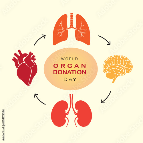 World organ donation day for transplantation saving lives and health care in cartoon illustration