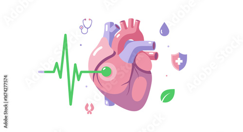 Anatomical heart illustration conveying cardiac health and wellness concept on plain background