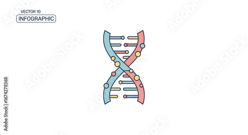 Stylized DNA structure with pastel colors and outline for scientific illustration