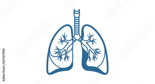 Stylized pulmonary system depiction demonstrating respiratory anatomy and physiology