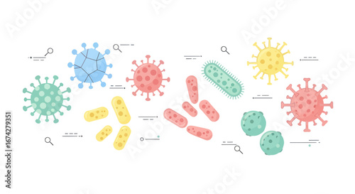 Diverse types of microorganisms and pathogens illustration arranged on white background