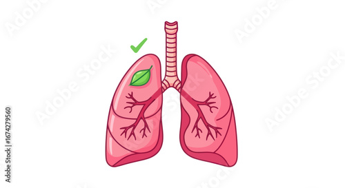Illustration depicting healthy lungs with green leaf and tick representing wellness and health