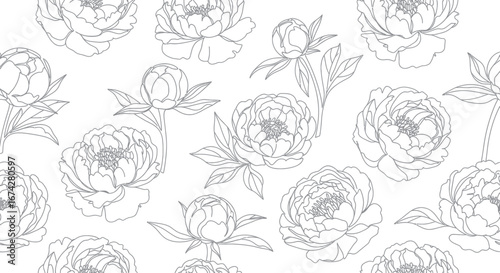 Delicate peony flower outlines create an elegant botanical pattern on a white background