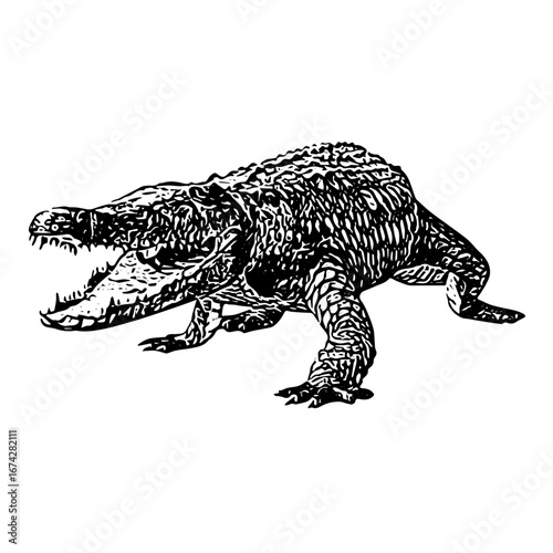 Vintage engraving illustration of crocodile standing with open mouth, detailed reptile drawing in black and white.