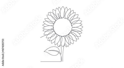 Minimalist sunflower line art against white backdrop for design simplicity and elegance