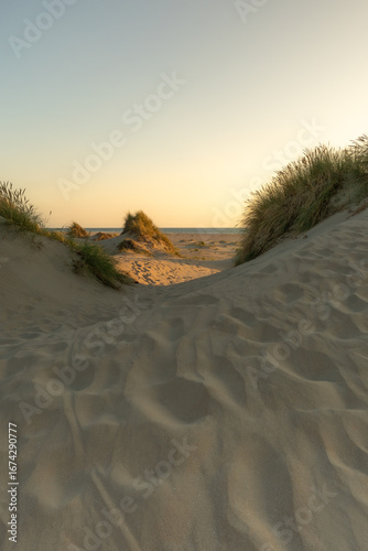 Dünenlandschaft 