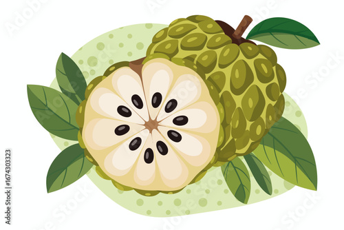 Custard apple botanical illustration featuring a sliced fruit with visible seeds and vibrant green leaves against a decorative background for food concept designs