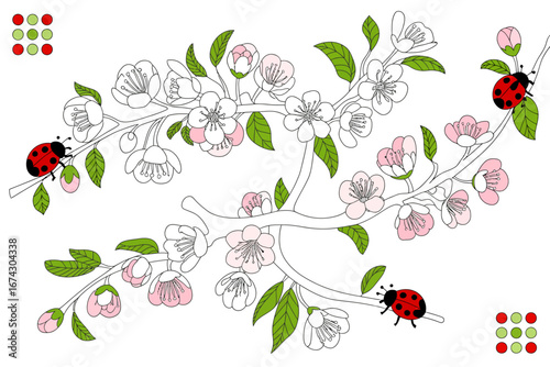 Wallpaper Mural Delicate Cherry Blossoms and Ladybugs Springtime Illustration Featuring Pastel Pink and White Flowers and Cute Insect Accents Torontodigital.ca