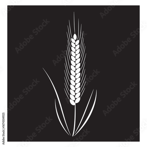 Vector illustration of a wheat stalk with leaves on a dark background, symbolizing agriculture, harvest, and grain production for branding or design