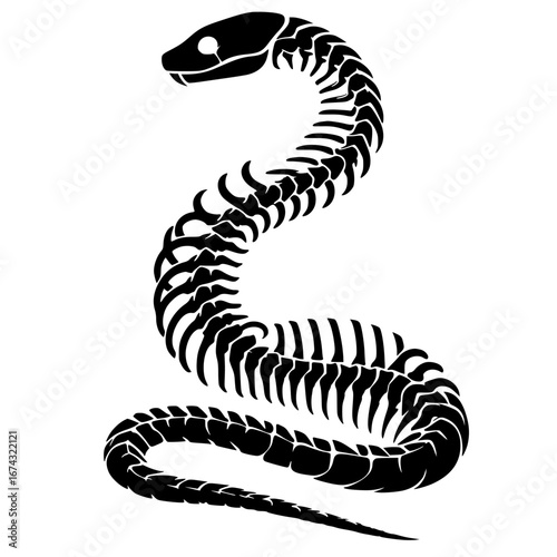 Silhouette of a snake carcass