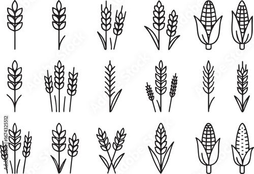 Grain vector icons wheat ear icon collection gluten symbol vector
