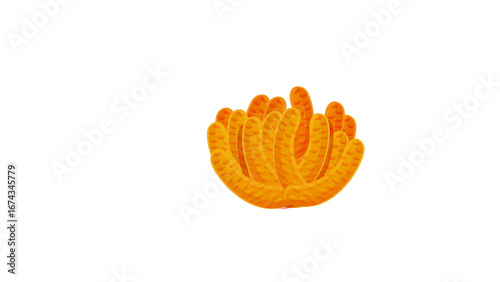 PNG Cartoon underwater sea landscape constructor with fishes and ocean animals, vector undersea world. Underwater coral reef characters of octopus with turtle,