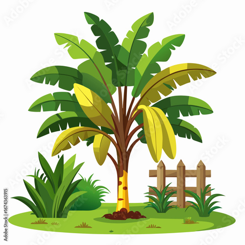 palm tree with green leaves