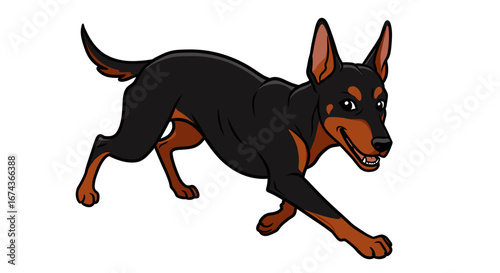 Cartoon doberman pinscher running illustration vector image for pet lovers and dog breed enthusiasts alike -