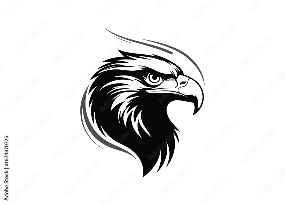 Obraz premium Eagle Vector Images