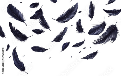 Crow feathers falling in air on transparent background, png