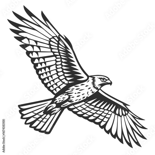 Stylized black and white illustration of a hawk in flight with wings spread wide