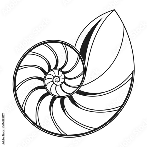 Stylized black and white illustration of a nautilus shell showing its spiral chambers and logarithmic growth pattern