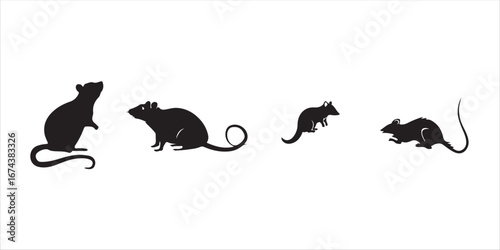 Silhouette of rats isolated on white background