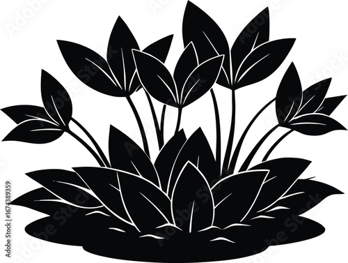 Water Hyacinth Patch Silhouette