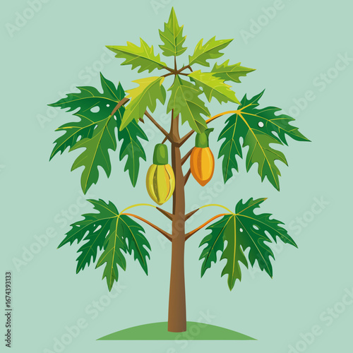 Vibrant papaya tree laden with ripening green and orange fruits, showcasing lush green palm-like leaves against a serene pastel background, perfect for tropical themes and healthy eating concepts.