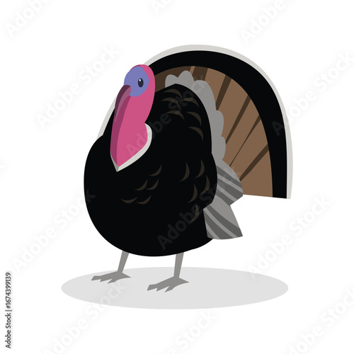 Simple Color Animal Vector Illustration Design