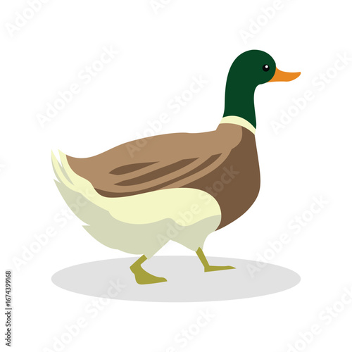 Simple Color Animal Vector Illustration Design