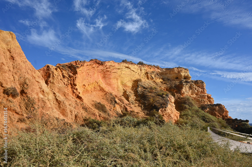 Fototapeta premium red rocks in the desert