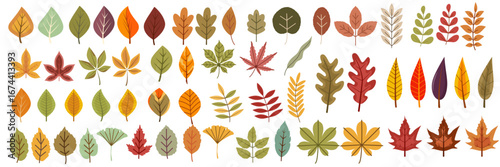 Colorful assortment of hand-drawn leaves in various shapes and autumnal hues—green, orange, red, and yellow. Playful, flat illustration style perfect for fall-themed designs.