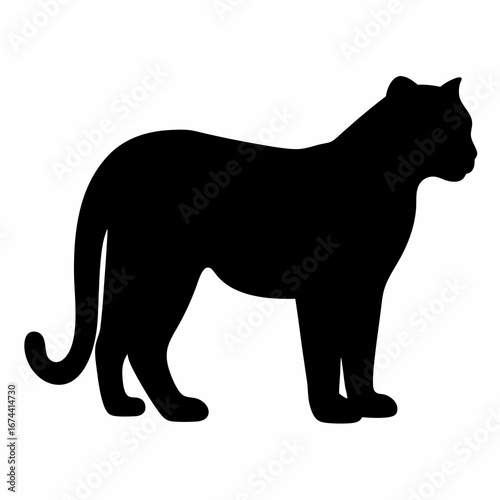 Elegant black silhouette of a panther standing with its tail curled