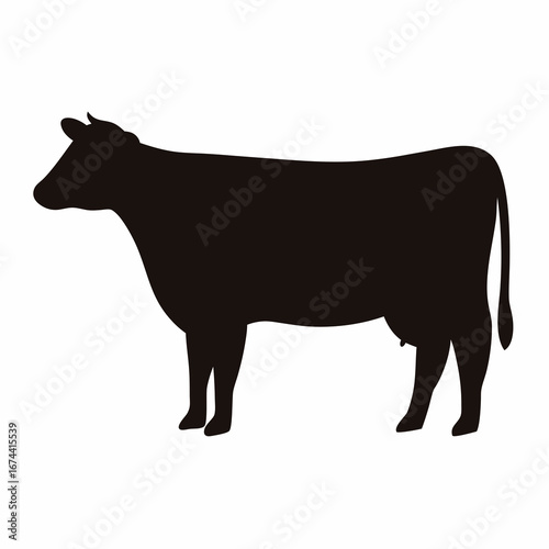 Silhouette of a Dairy Cow Standing in Profile on White Background