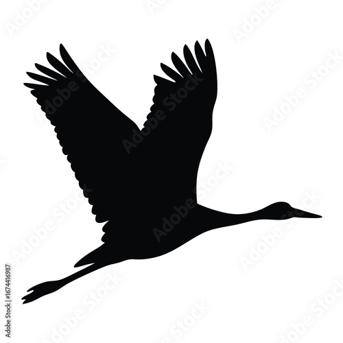 Silhouette of a Sandhill Crane in Flight Against White Background Depicting Freedom